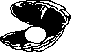 PEARL.BMP