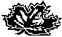 LEAF01.BMP