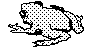 FROG.BMP