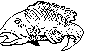 FISH.BMP
