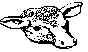 CALF.BMP