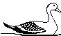 BIRD27.BMP