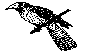 BIRD23.BMP