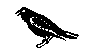 BIRD21.BMP