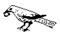 BIRD18.BMP