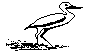 BIRD17.BMP