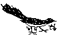 BIRD15.BMP