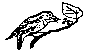 BIRD11.BMP