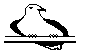 BIRD10.BMP