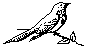 BIRD08.BMP