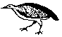 BIRD07.BMP