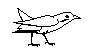 BIRD06.BMP