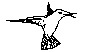 BIRD05.BMP
