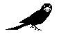 BIRD00.BMP