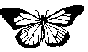 BFLY.BMP