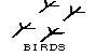 SIGNO.BMP