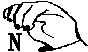HANDN.BMP