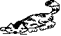 CAT4.BMP