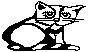 CAT1.BMP