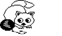 KITTEN.BMP