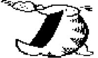 GARF9.BMP