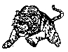 BIGCAT17.BMP