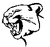 BIGCAT14.BMP