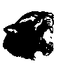 BIGCAT13.BMP