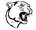 BIGCAT07.BMP