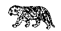 BIGCAT02.BMP