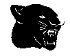 BIGCAT01.BMP