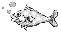 TOON026.BMP