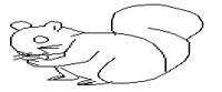 SQUIRL2.BMP