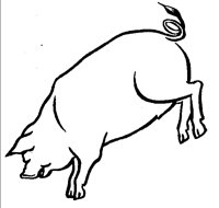 PIG.BMP