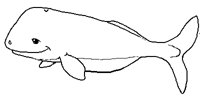 064.BMP