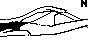 NITT2.BMP