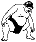 MR_SUMO.BMP