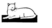 CAT.BMP