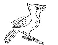 BLUJAY.BMP