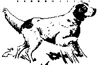 POINTER.BMP