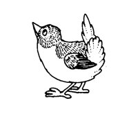 WREN.BMP