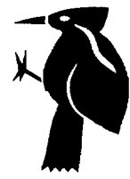 WOODPECK.BMP