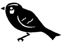 SPARROW.BMP