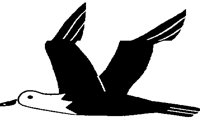 SEAGULL.BMP