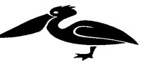 PELICAN.BMP