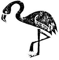 FLAMINGO.BMP
