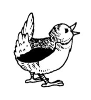 BIRDY.BMP