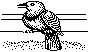 BIRD3.BMP