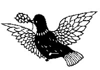 BIRD.BMP