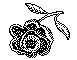 ROSE.BMP